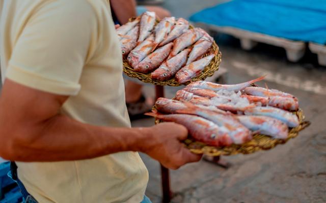 Reconectar con el mar que nos alimenta