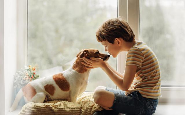 Huscan: un programa de acompañamiento con perros a niños y adolescentes
víctimas de violencia sexual