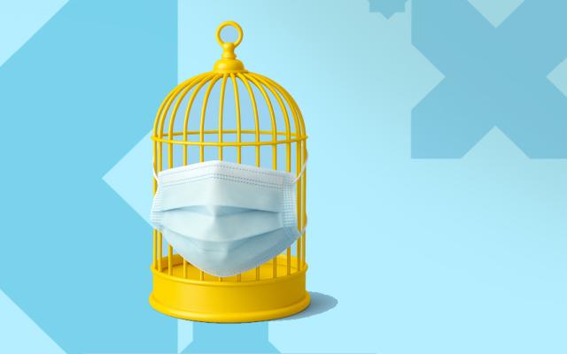 ¿Debe preocuparnos la Gripe Aviar?