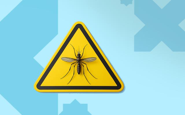 ¿Debe preocupar la expansión de los mosquitos para nuestra salud?