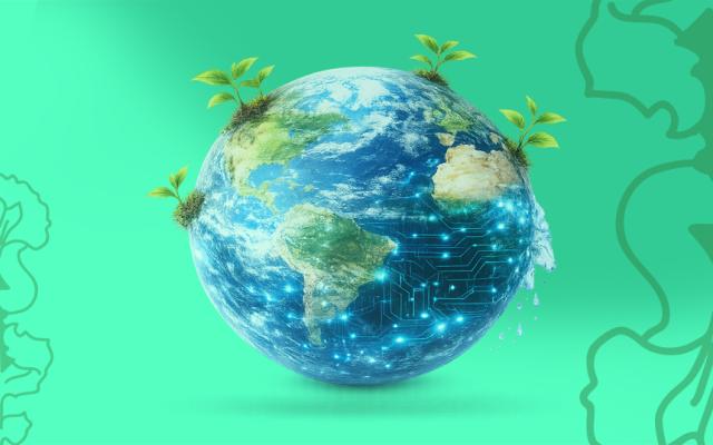 Datos críticos y gestión del riesgo