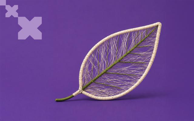 Actividad del ciclo vidas en transformación: género, desigualdad y retos del siglo xxi
